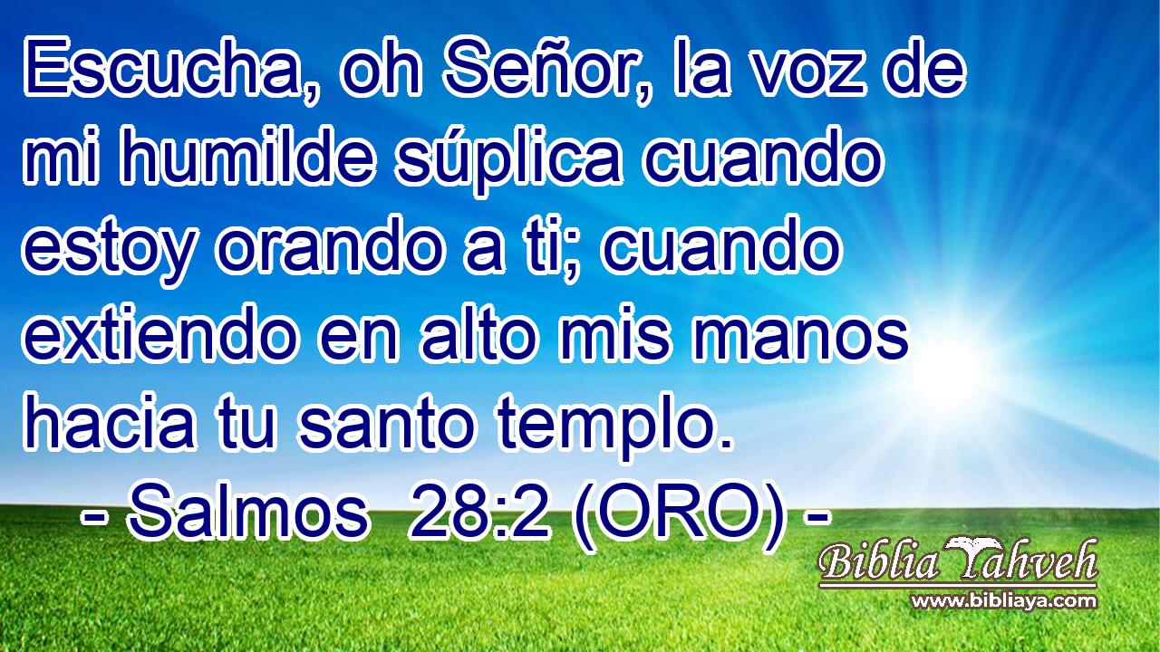  Escucha, oh Señor, la voz de mi humilde súplica cuando estoy orando a ti; cuando extiendo en alto mis manos hacia tu santo templo. 