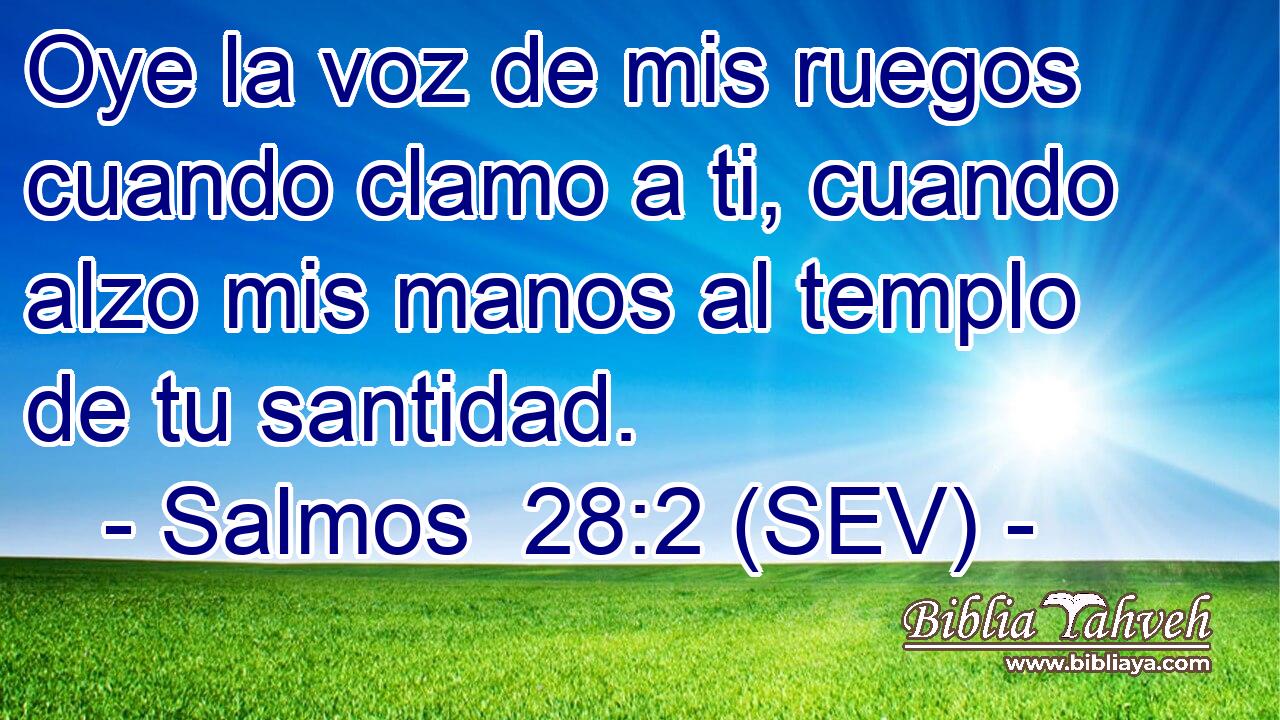 Oye la voz de mis ruegos cuando clamo a ti, cuando alzo mis manos al templo de tu santidad.