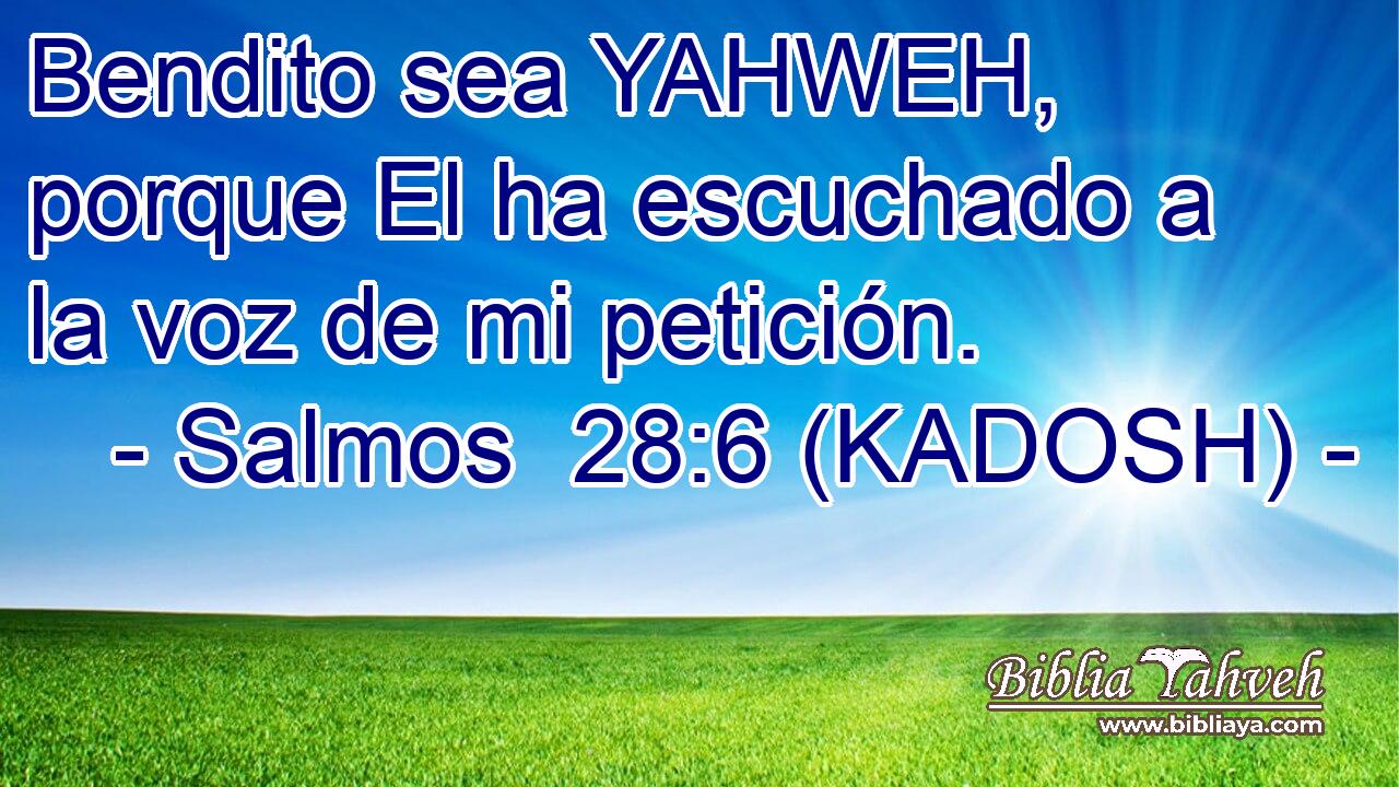  Bendito sea YAHWEH, porque El ha escuchado a la voz de mi petición. 