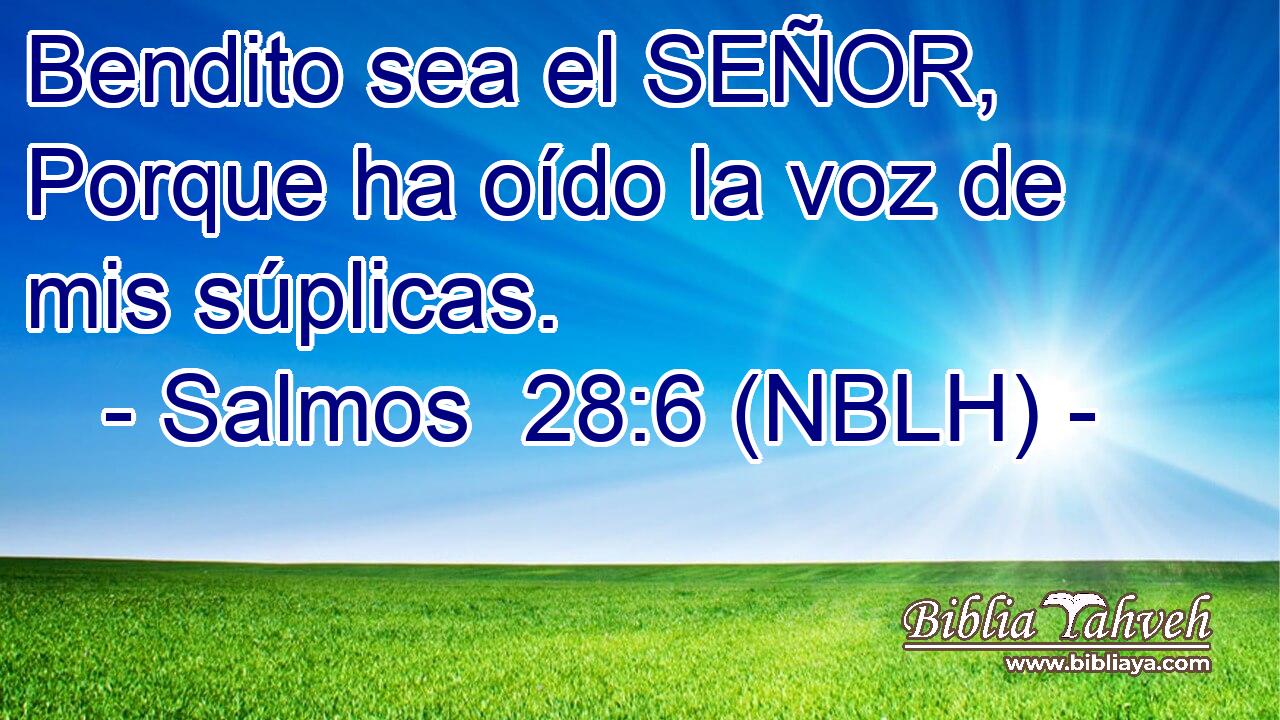  Bendito sea el SEÑOR, Porque ha oído la voz de mis súplicas. 