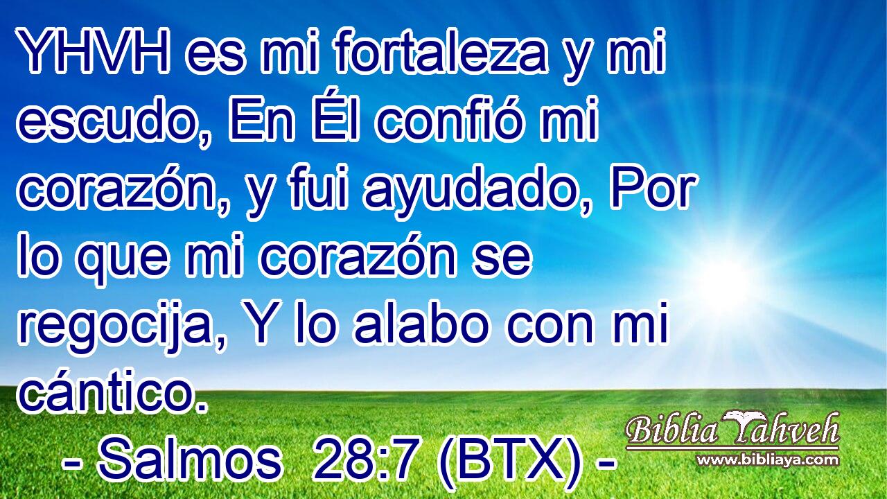 YHVH es mi fortaleza y mi escudo, En Él confió mi corazón, y fui ayudado, Por lo que mi corazón se regocija, Y lo alabo con mi cántico.