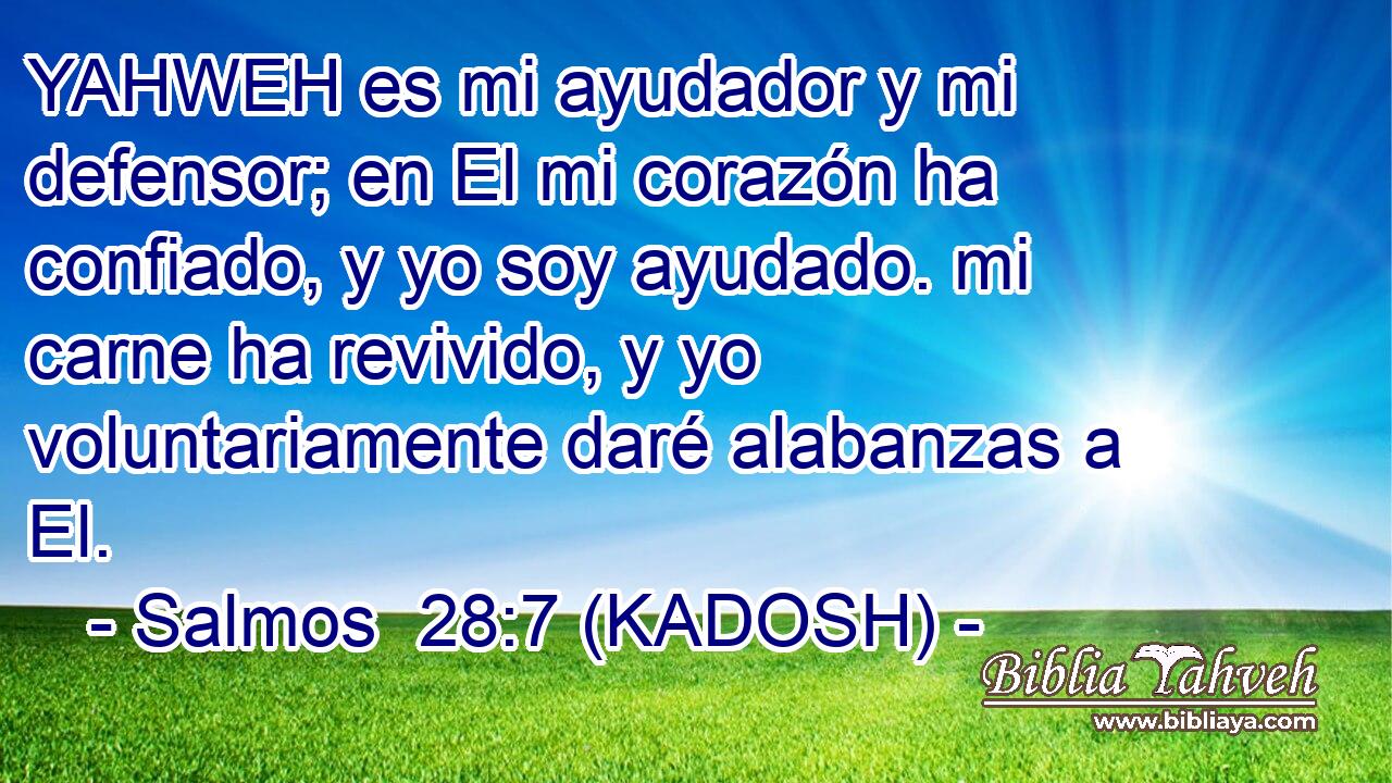  YAHWEH es mi ayudador y mi defensor; en El mi corazón ha confiado, y yo soy ayudado. mi carne ha revivido, y yo voluntariamente daré alabanzas a El. 