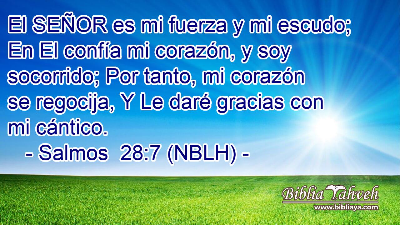  El SEÑOR es mi fuerza y mi escudo; En El confía mi corazón, y soy socorrido; Por tanto, mi corazón se regocija, Y Le daré gracias con mi cántico. 