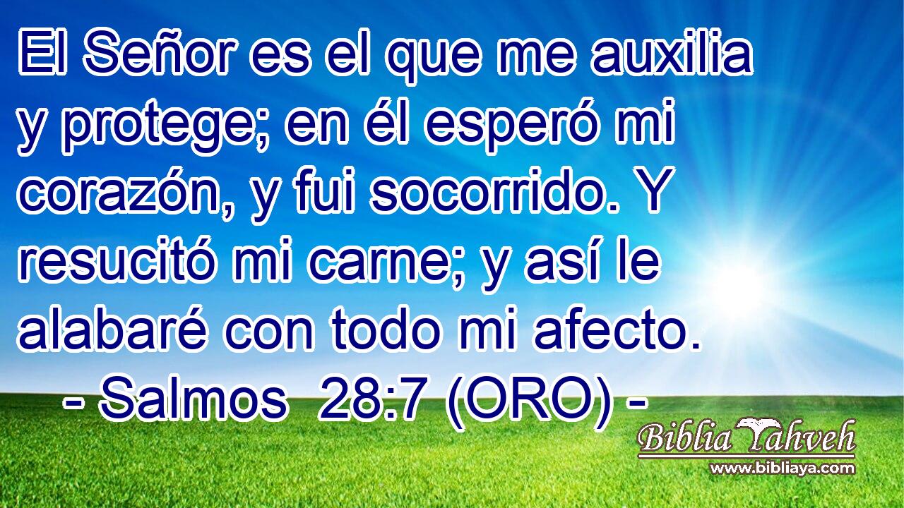  El Señor es el que me auxilia y protege; en él esperó mi corazón, y fui socorrido. Y resucitó mi carne; y así le alabaré con todo mi afecto. 