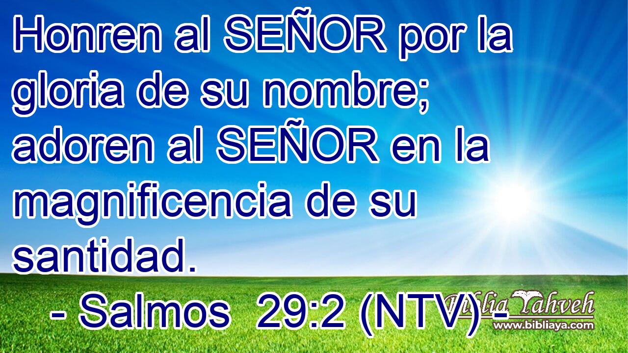 Honren al SEÑOR por la gloria de su nombre; adoren al SEÑOR en la magnificencia de su santidad.