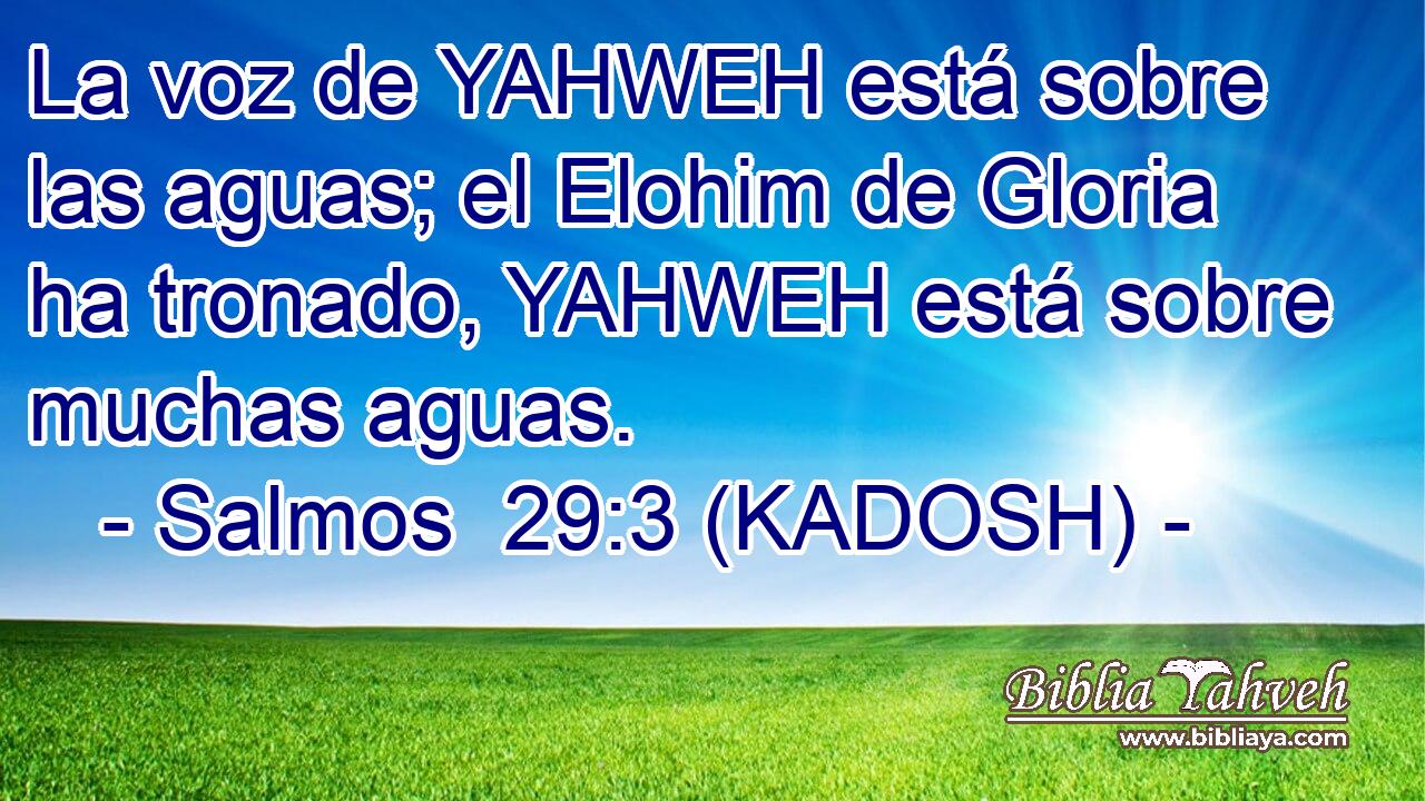  La voz de YAHWEH está sobre las aguas; el Elohim de Gloria ha tronado, YAHWEH está sobre muchas aguas. 