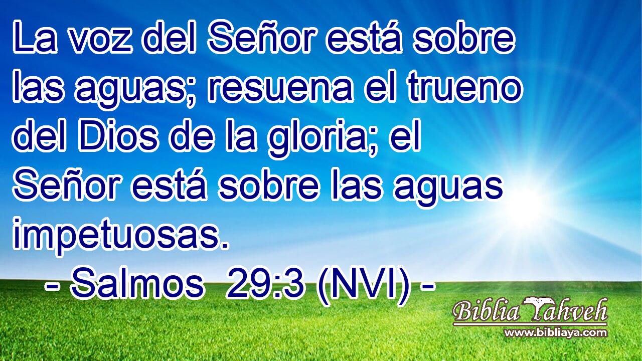  La voz del Señor está sobre las aguas; resuena el trueno del Dios de la gloria; el Señor está sobre las aguas impetuosas. 