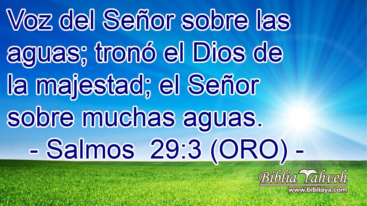  Voz del Señor sobre las aguas; tronó el Dios de la majestad; el Señor sobre muchas aguas. 