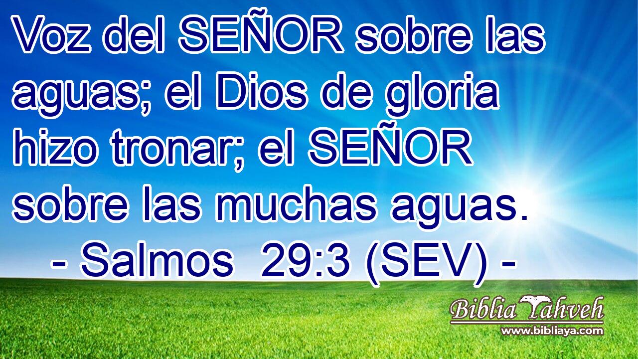Voz del SEÑOR sobre las aguas; el Dios de gloria hizo tronar; el SEÑOR sobre las muchas aguas.