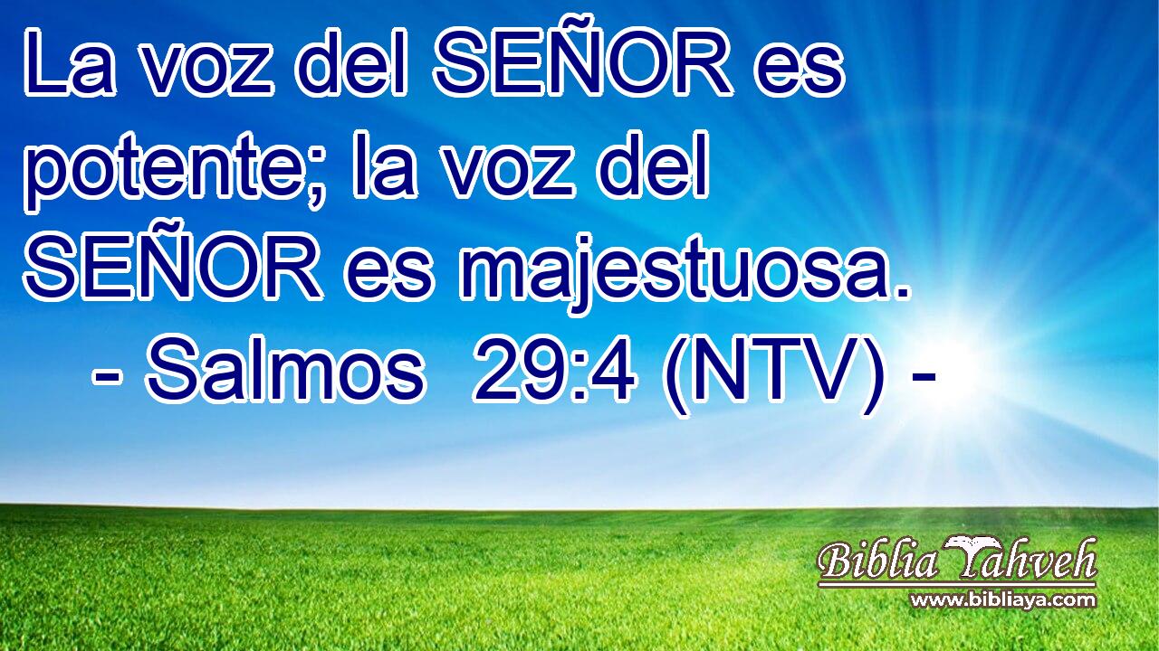La voz del SEÑOR es potente; la voz del SEÑOR es majestuosa.