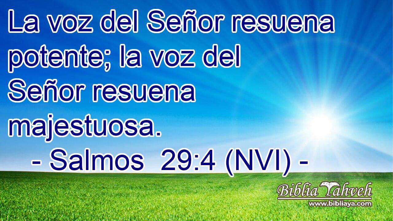  La voz del Señor resuena potente; la voz del Señor resuena majestuosa. 