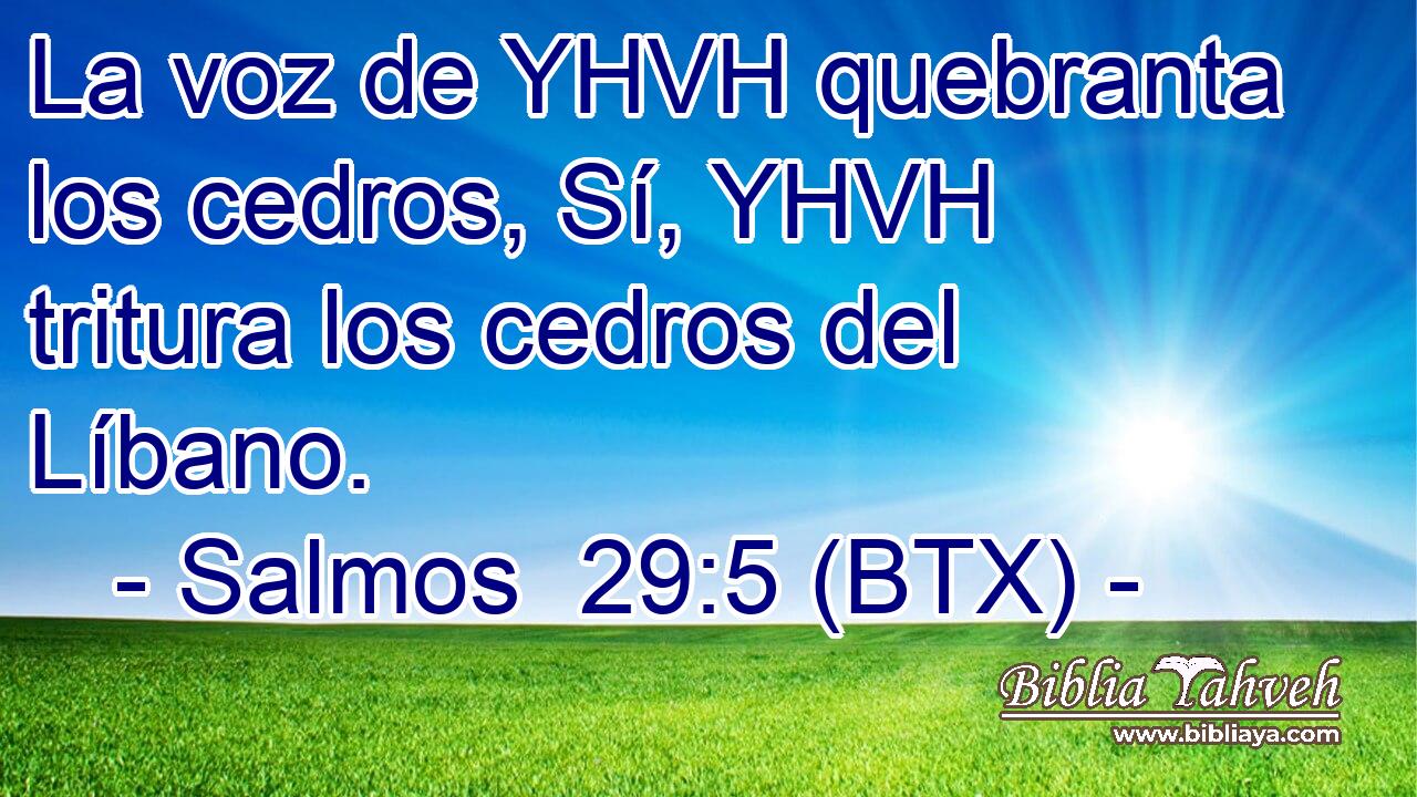 La voz de YHVH quebranta los cedros, Sí, YHVH tritura los cedros del Líbano.