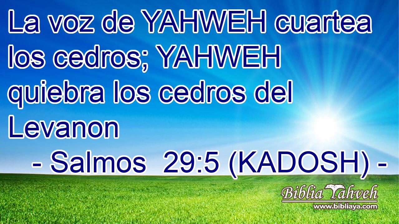  La voz de YAHWEH cuartea los cedros; YAHWEH quiebra los cedros del Levanon 