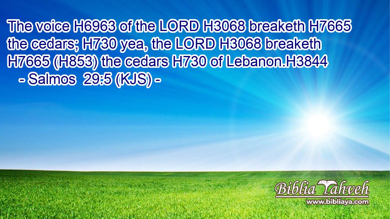 The voice H6963 of the LORD H3068 breaketh H7665 the cedars; H730 yea, the LORD H3068 breaketh H7665 (H853) the cedars H730 of Lebanon.H3844