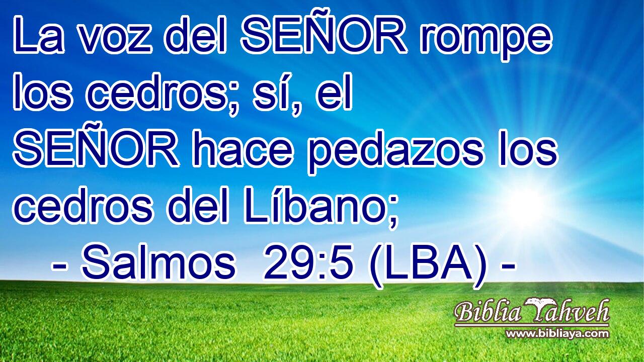 La voz del SEÑOR rompe los cedros; sí, el SEÑOR hace pedazos los cedros del Líbano;
