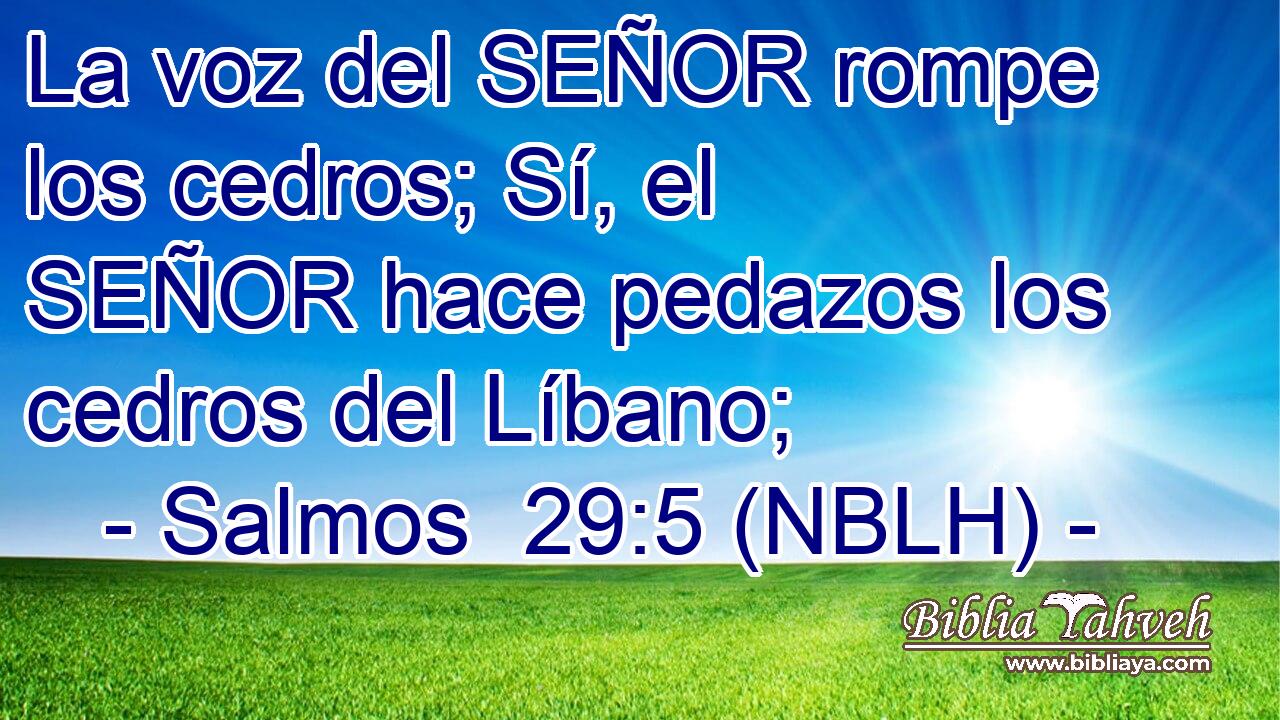  La voz del SEÑOR rompe los cedros; Sí, el SEÑOR hace pedazos los cedros del Líbano; 
