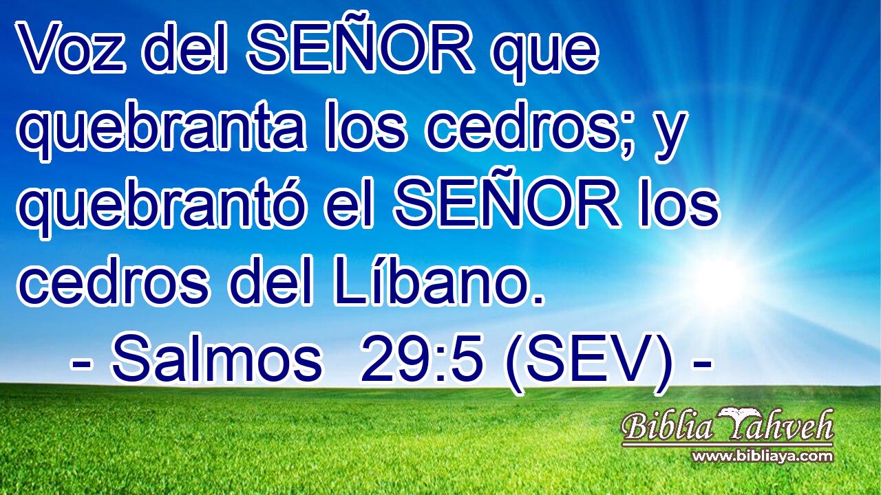 Voz del SEÑOR que quebranta los cedros; y quebrantó el SEÑOR los cedros del Líbano.
