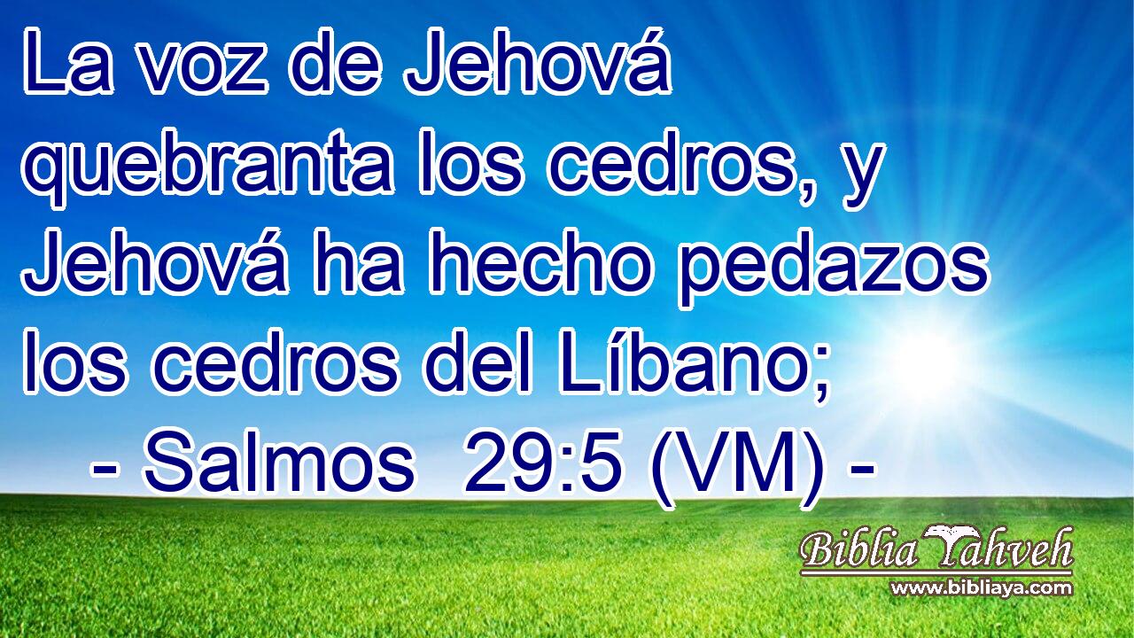  La voz de Jehová quebranta los cedros, y Jehová ha hecho pedazos los cedros del Líbano; 