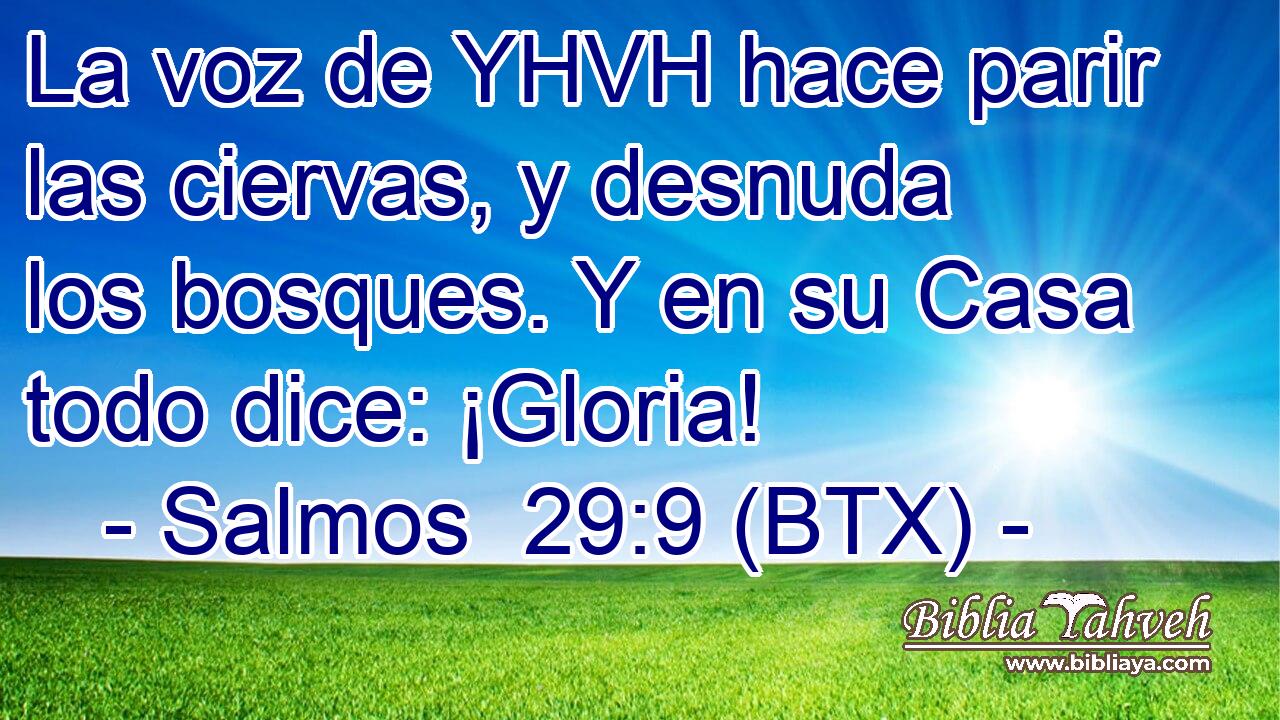 La voz de YHVH hace parir las ciervas, y desnuda los bosques. Y en su Casa todo dice: ¡Gloria!