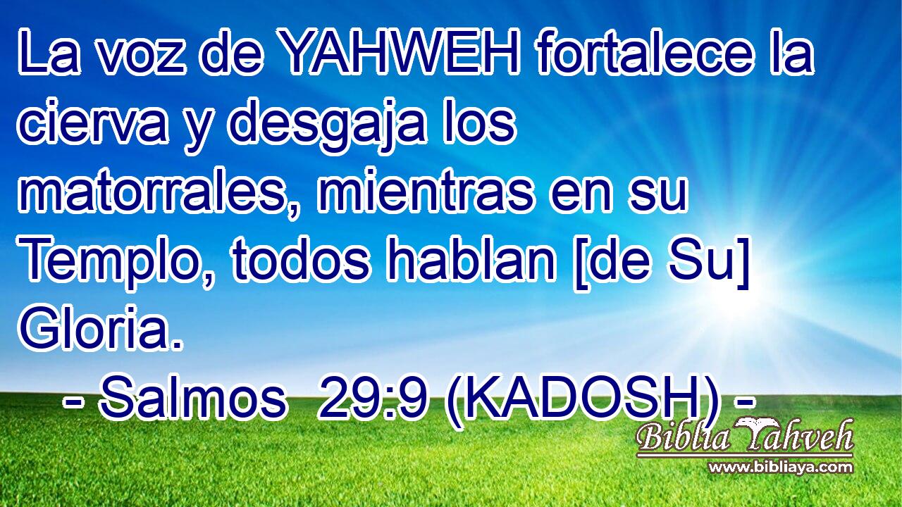  La voz de YAHWEH fortalece la cierva y desgaja los matorrales, mientras en su Templo, todos hablan [de Su] Gloria. 