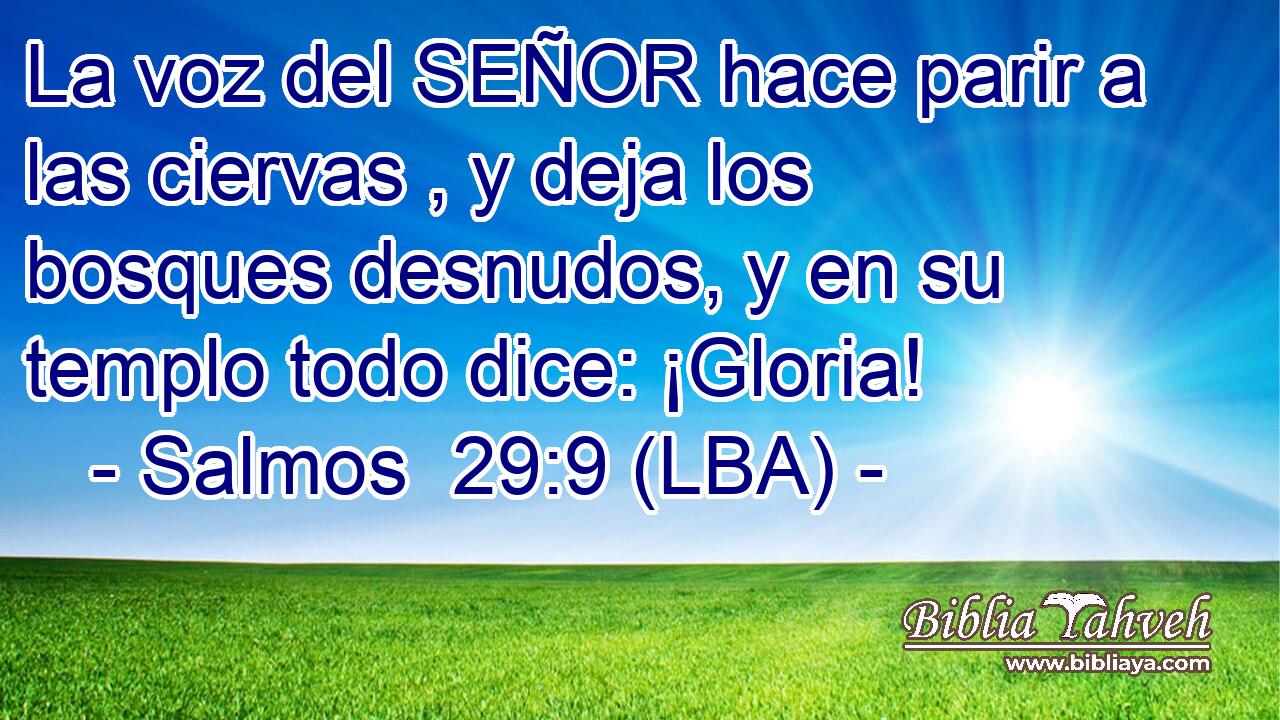La voz del SEÑOR hace parir a las ciervas , y deja los bosques desnudos, y en su templo todo dice: ¡Gloria!