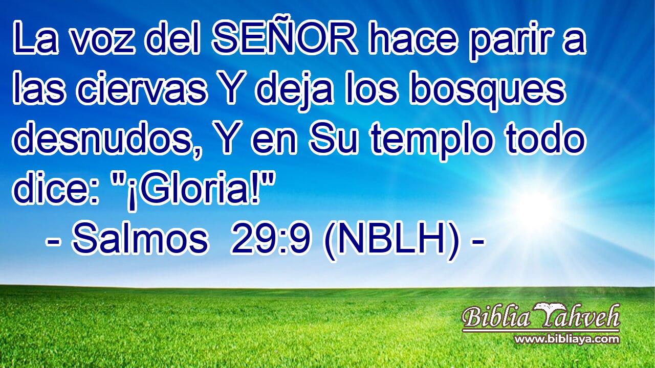  La voz del SEÑOR hace parir a las ciervas Y deja los bosques desnudos, Y en Su templo todo dice: 