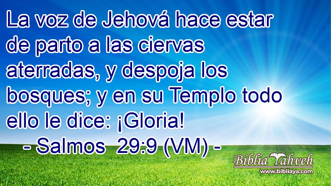  La voz de Jehová hace estar de parto a las ciervas aterradas, y despoja los bosques; y en su Templo todo ello le dice: ¡Gloria! 