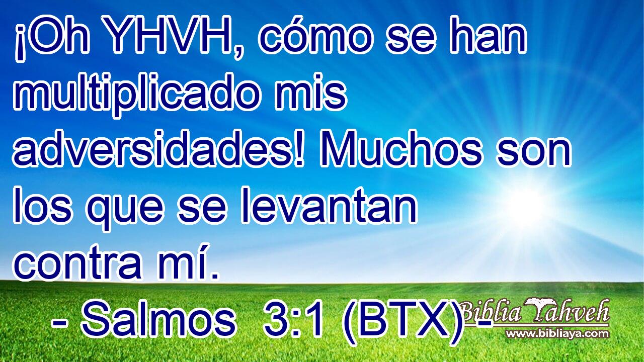 ¡Oh YHVH, cómo se han multiplicado mis adversidades! Muchos son los que se levantan contra mí.
