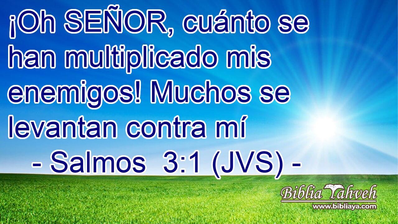 ¡Oh SEÑOR, cuánto se han multiplicado mis enemigos! Muchos se levantan contra mí