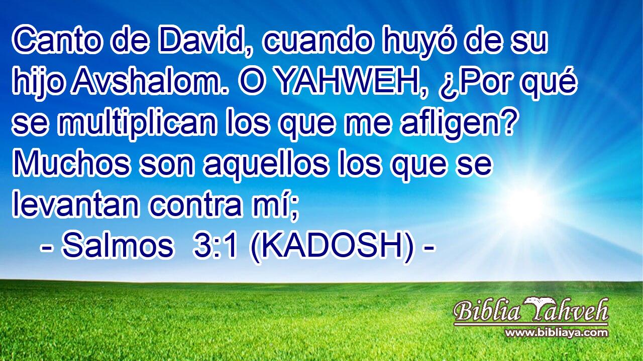  Canto de David, cuando huyó de su hijo Avshalom. O YAHWEH, ¿Por qué se multiplican los que me afligen? Muchos son aquellos los que se levantan contra mí; 
