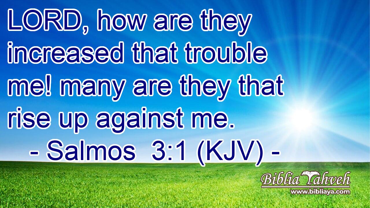 LORD, how are they increased that trouble me! many are they that rise up against me.