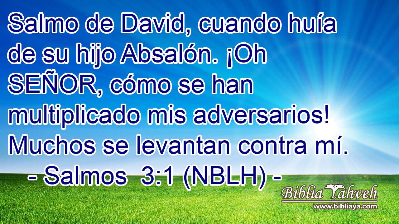  Salmo de David, cuando huía de su hijo Absalón. ¡Oh SEÑOR, cómo se han multiplicado mis adversarios! Muchos se levantan contra mí. 