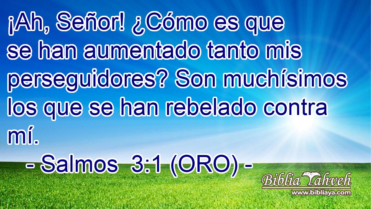  ¡Ah, Señor! ¿Cómo es que se han aumentado tanto mis perseguidores? Son muchísimos los que se han rebelado contra mí. 