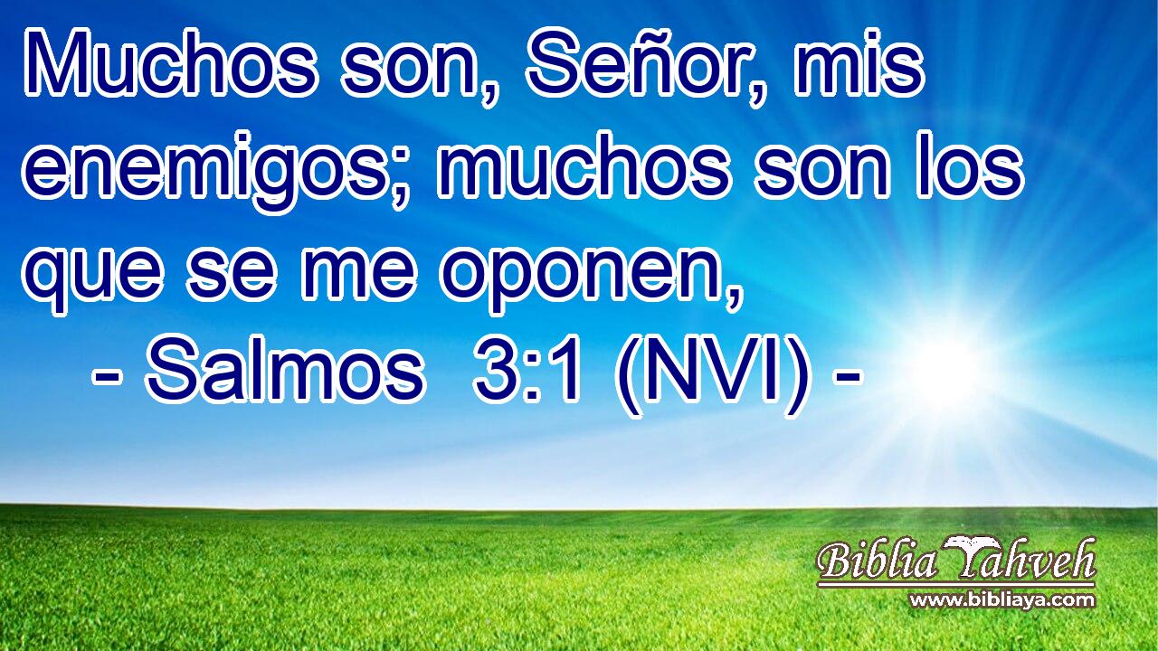  Muchos son, Señor, mis enemigos; muchos son los que se me oponen, 