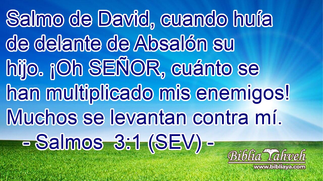 Salmo de David, cuando huía de delante de Absalón su hijo. ¡Oh SEÑOR, cuánto se han multiplicado mis enemigos! Muchos se levantan contra mí.