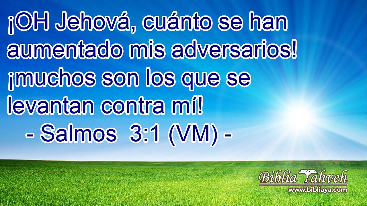  ¡OH Jehová, cuánto se han aumentado mis adversarios! ¡muchos son los que se levantan contra mí! 
