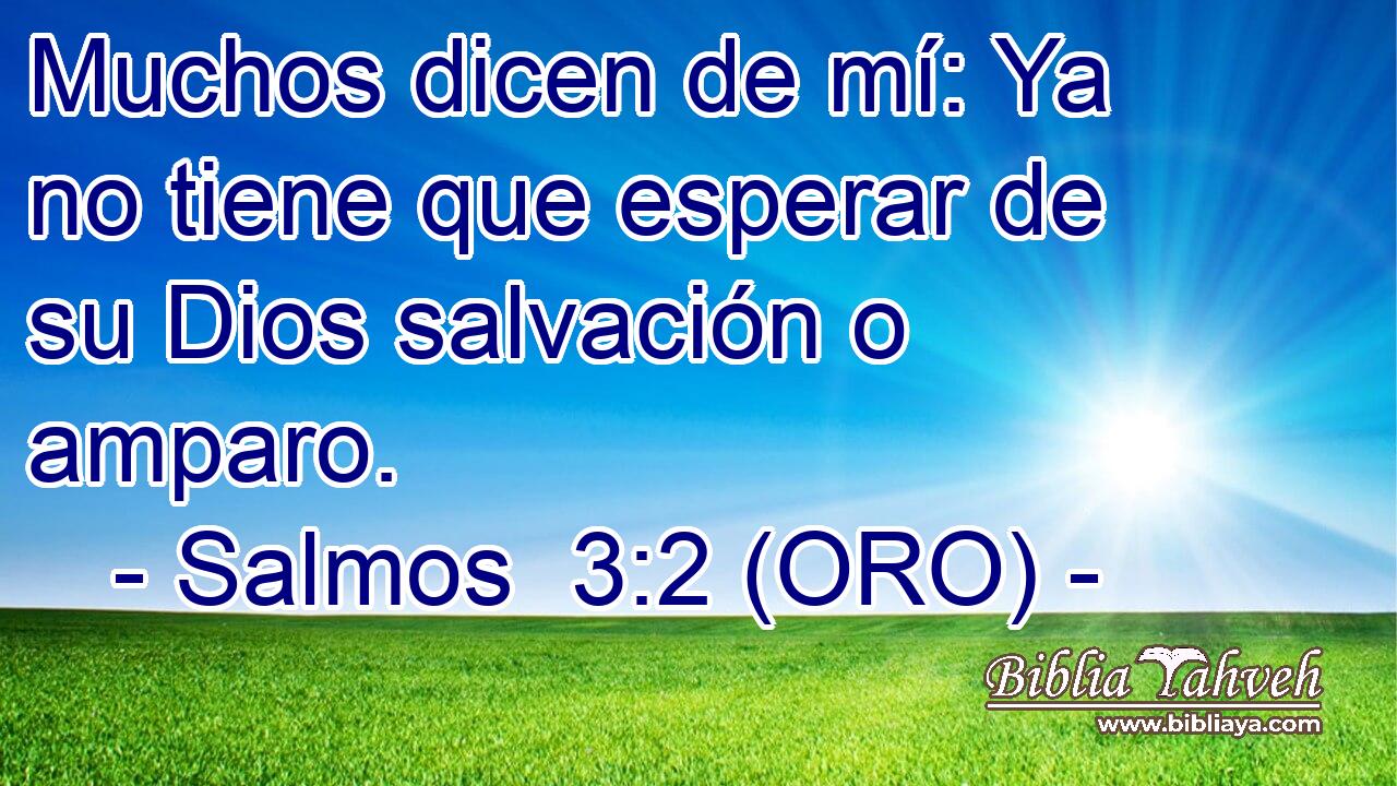  Muchos dicen de mí: Ya no tiene que esperar de su Dios salvación o amparo. 
