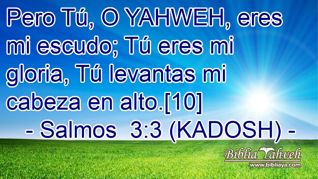  Pero Tú, O YAHWEH, eres mi escudo; Tú eres mi gloria, Tú levantas mi cabeza en alto.[10] 