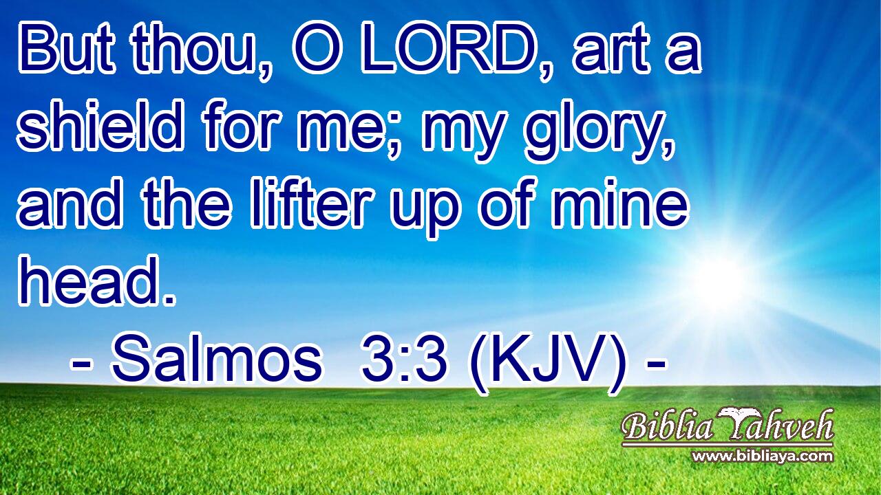 But thou, O LORD, art a shield for me; my glory, and the lifter up of mine head.