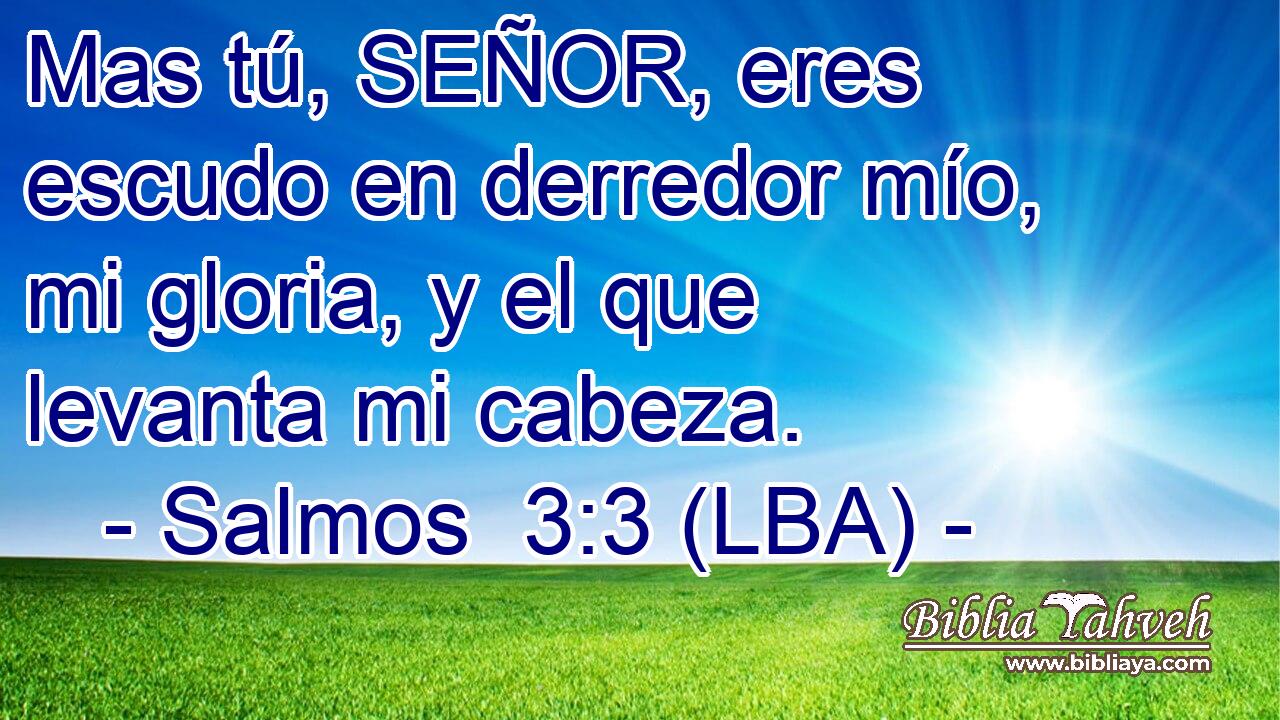 Mas tú, SEÑOR, eres escudo en derredor mío, mi gloria, y el que levanta mi cabeza.
