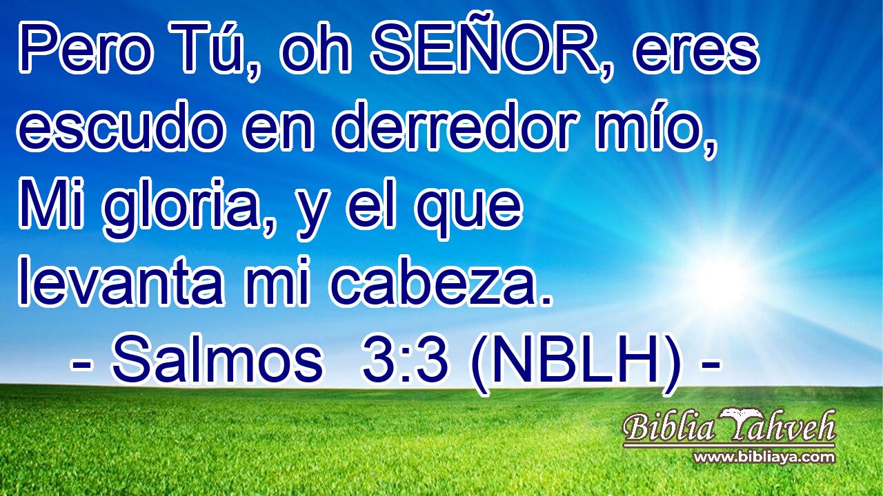  Pero Tú, oh SEÑOR, eres escudo en derredor mío, Mi gloria, y el que levanta mi cabeza. 