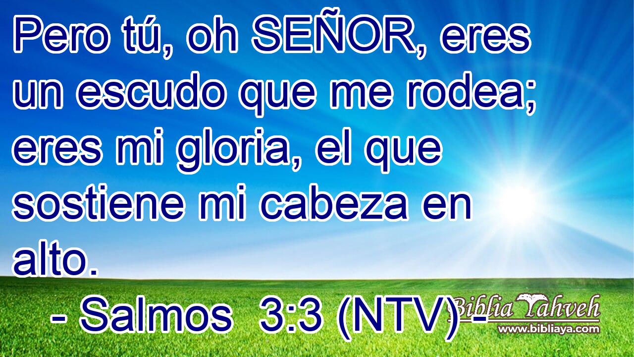 Pero tú, oh SEÑOR, eres un escudo que me rodea; eres mi gloria, el que sostiene mi cabeza en alto.