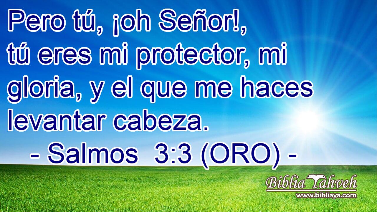  Pero tú, ¡oh Señor!, tú eres mi protector, mi gloria, y el que me haces levantar cabeza. 