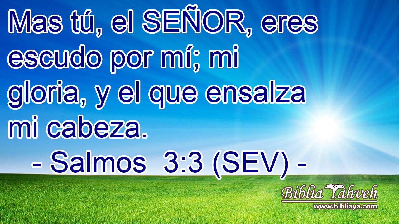 Mas tú, el SEÑOR, eres escudo por mí; mi gloria, y el que ensalza mi cabeza.