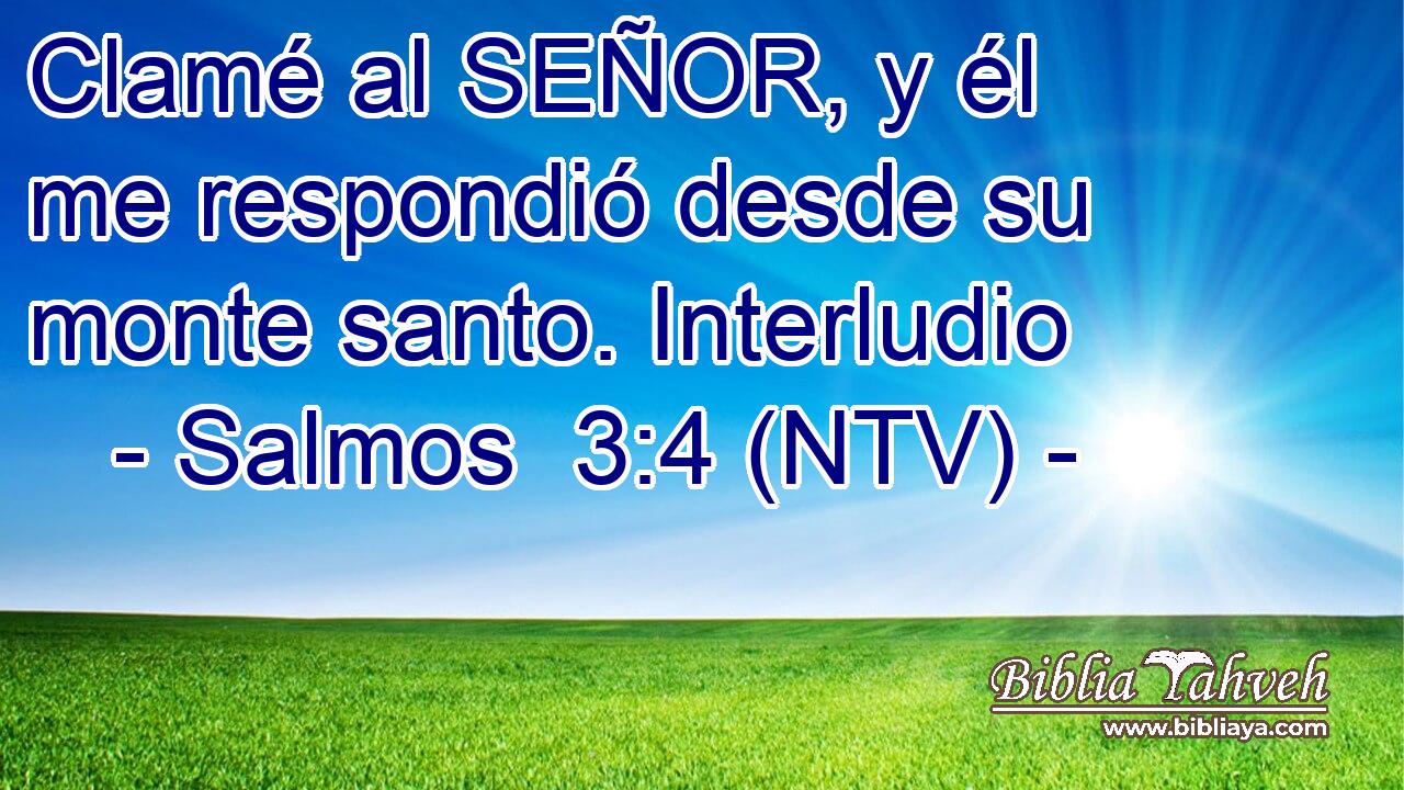 Clamé al SEÑOR, y él me respondió desde su monte santo. Interludio