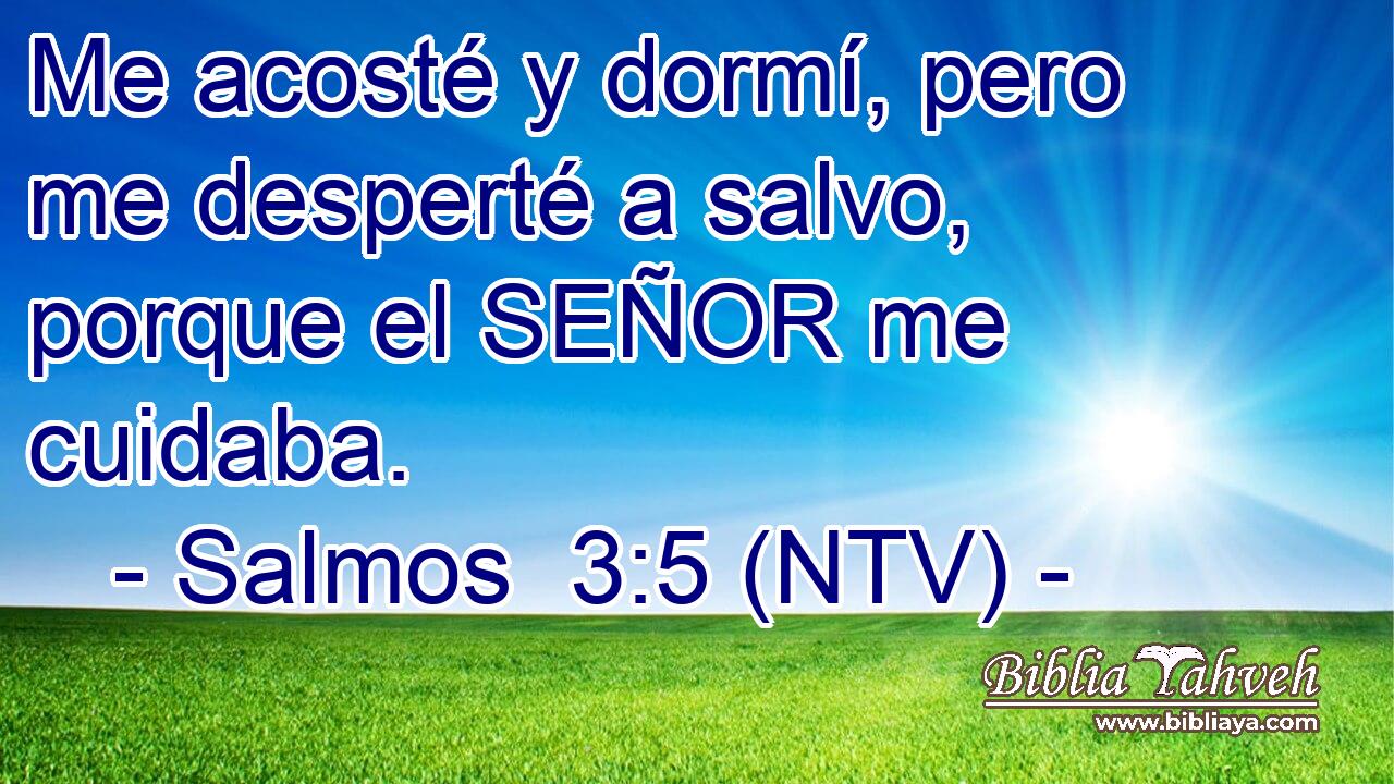 Me acosté y dormí, pero me desperté a salvo, porque el SEÑOR me cuidaba.