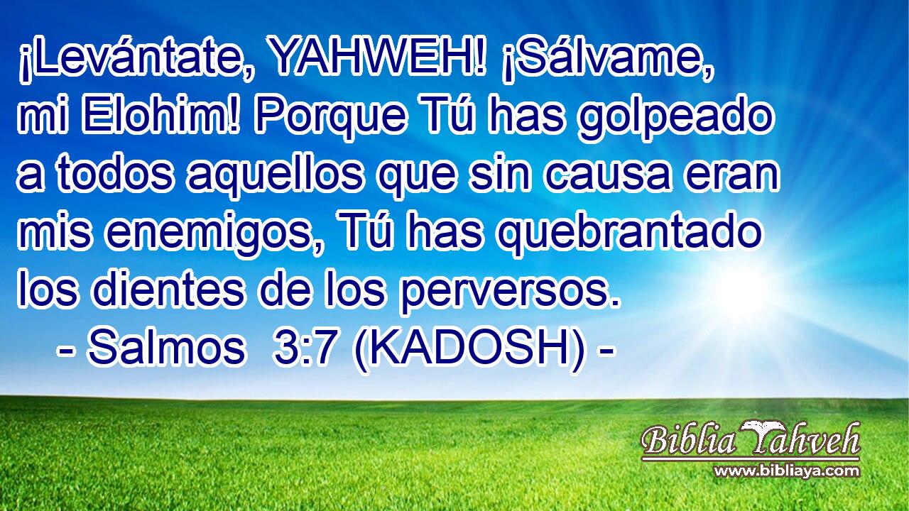  ¡Levántate, YAHWEH! ¡Sálvame, mi Elohim! Porque Tú has golpeado a todos aquellos que sin causa eran mis enemigos, Tú has quebrantado los dientes de los perversos. 