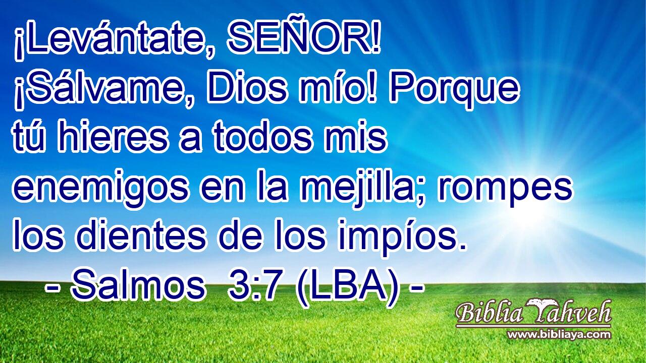 ¡Levántate, SEÑOR! ¡Sálvame, Dios mío! Porque tú hieres a todos mis enemigos en la mejilla; rompes los dientes de los impíos.
