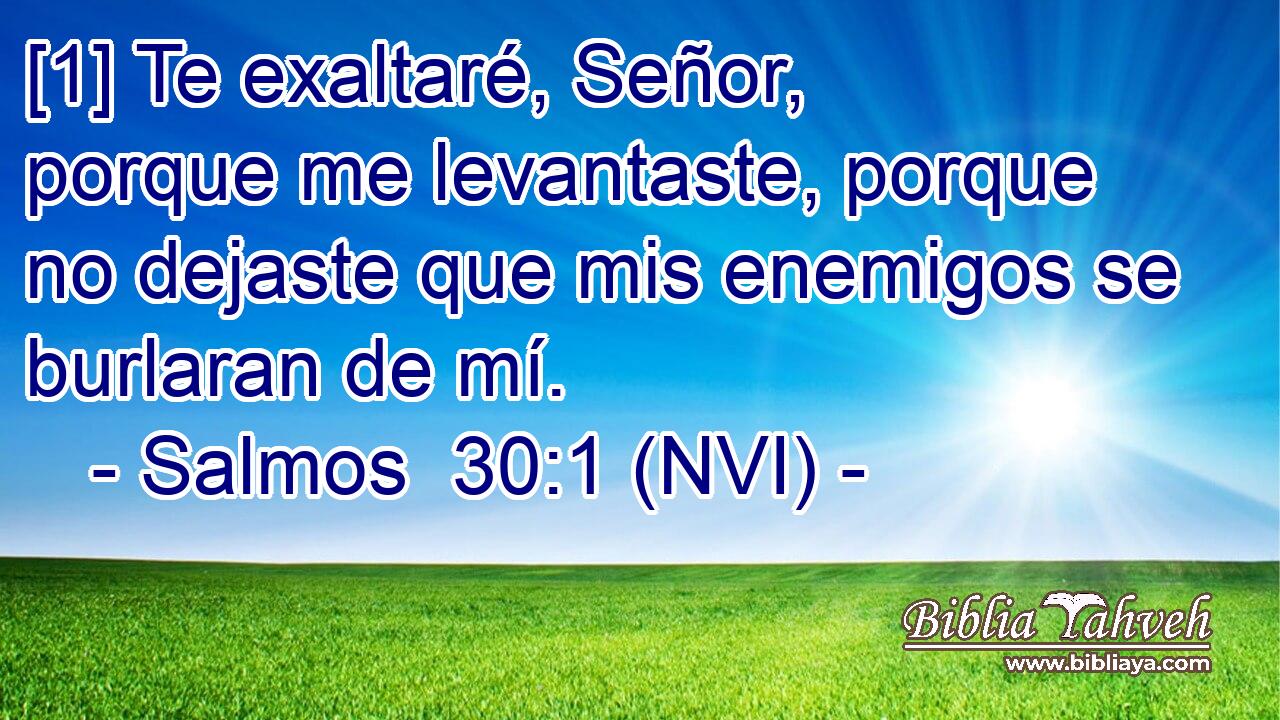  [1] Te exaltaré, Señor, porque me levantaste, porque no dejaste que mis enemigos se burlaran de mí. 