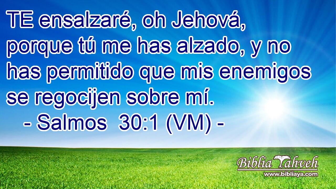  TE ensalzaré, oh Jehová, porque tú me has alzado, y no has permitido que mis enemigos se regocijen sobre mí. 